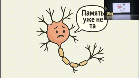 Кадр из доклада
